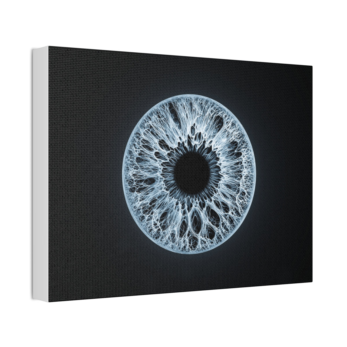BLXNTT Iris – Lace Web Ice Blue Glossy Canvas
