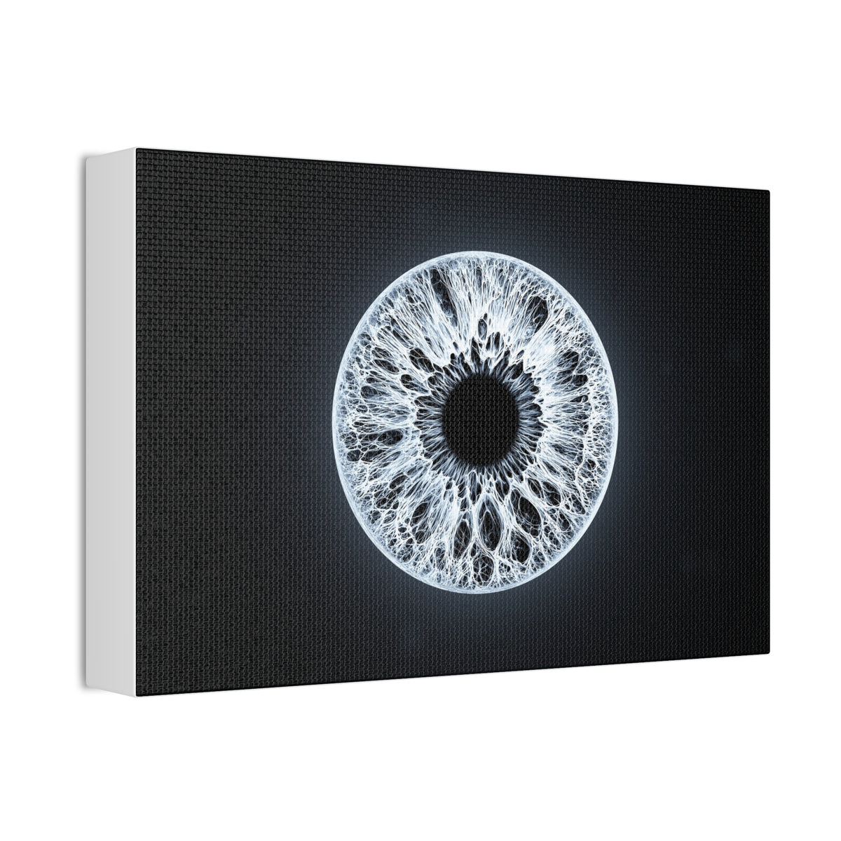 BLXNTT Iris – Lace Web Ice Silver Glossy Canvas