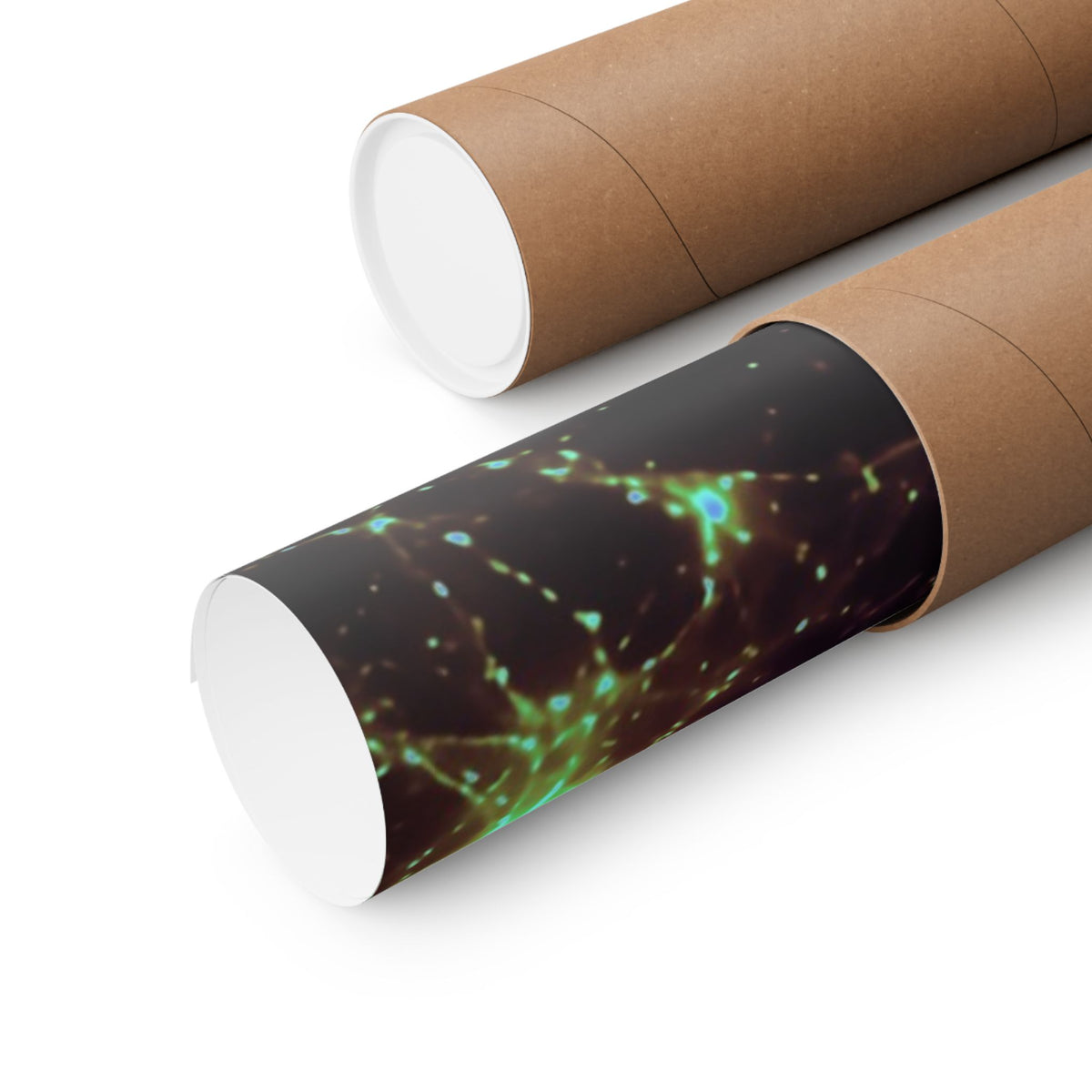 Neon Mycelium - Holographic Poster