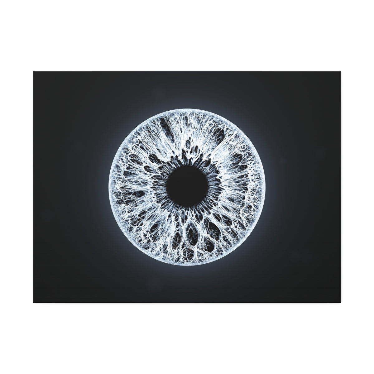 BLXNTT Iris – Lace Web Ice Silver Glossy Canvas