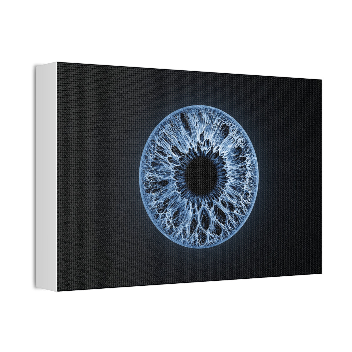 BLXNTT Iris – Lace Web Blue Glossy Canvas