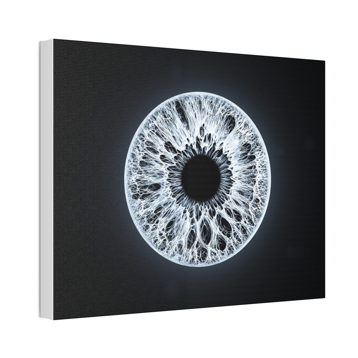 BLXNTT Iris – Lace Web Ice Silver Glossy Canvas