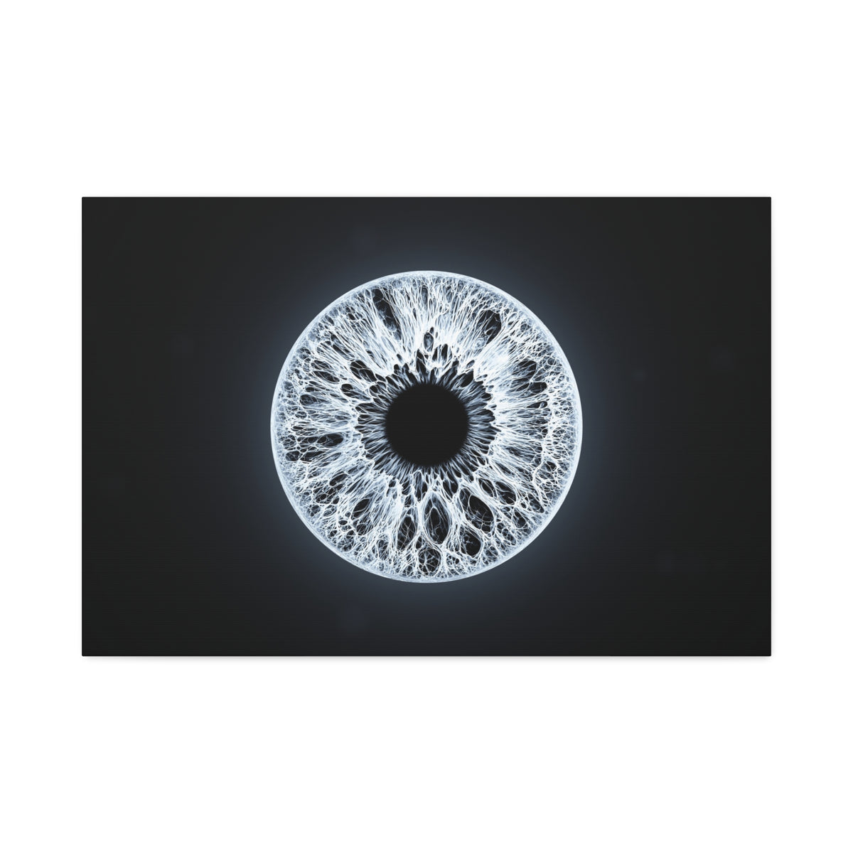 BLXNTT Iris – Lace Web Ice Silver Glossy Canvas