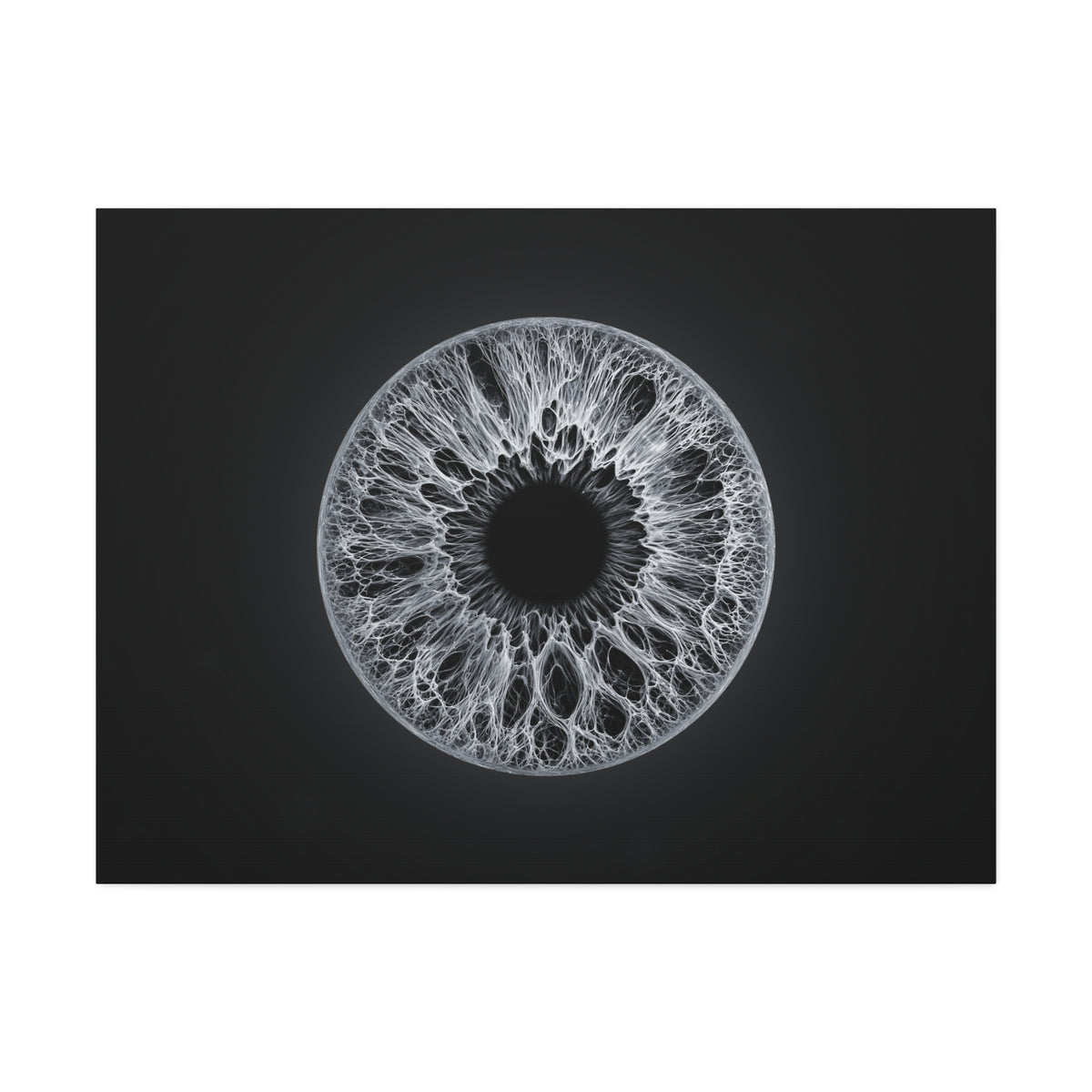 BLXNTT Iris – Lace Web Gray Glossy Canvas