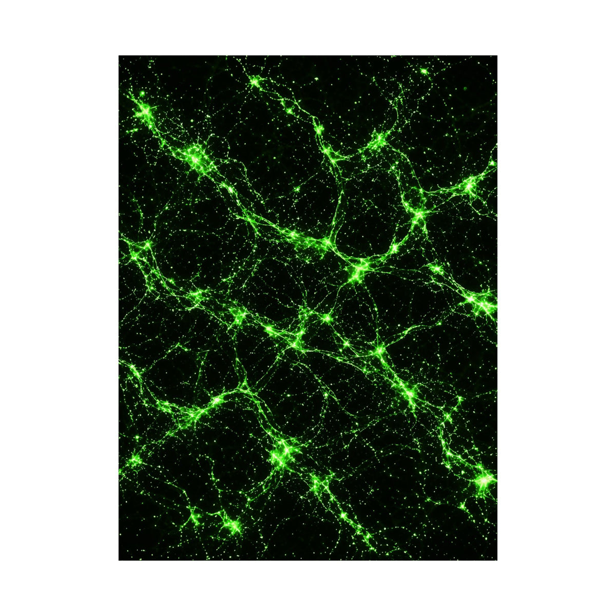 Neon Mycelium - Toxic Lime Poster