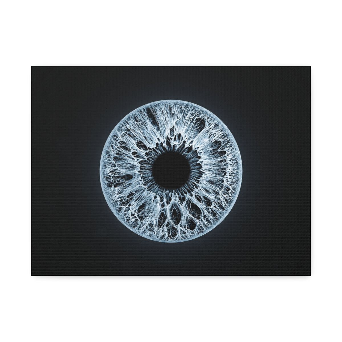 BLXNTT Iris – Lace Web Ice Blue Glossy Canvas