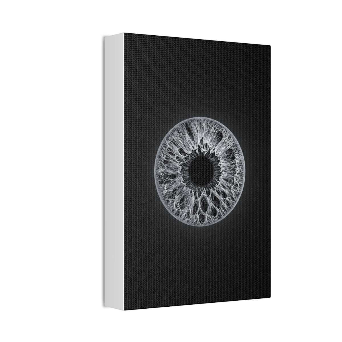 BLXNTT Iris – Lace Web Gray Glossy Canvas