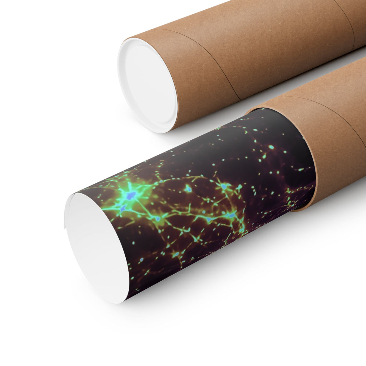 Neon Mycelium - Holographic Poster