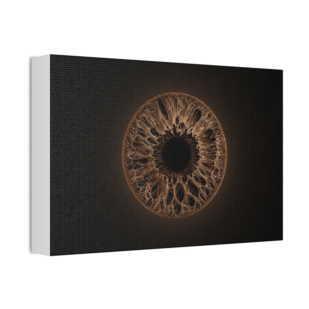 BLXNTT Iris – Lace Web Dark Brown Glossy Canvas