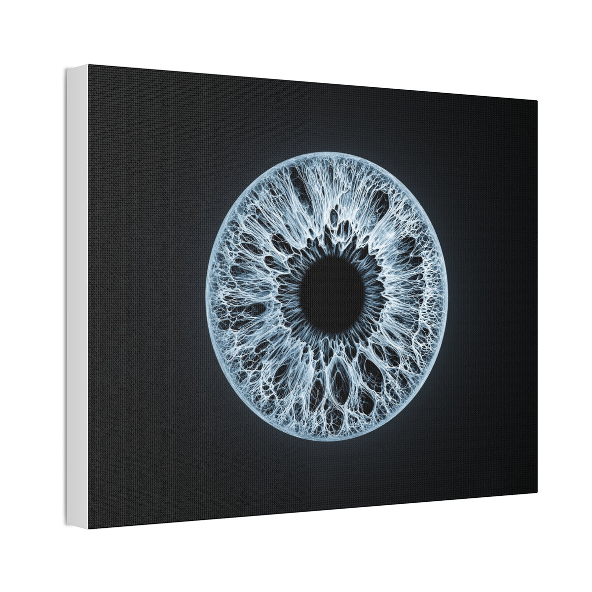 BLXNTT Iris – Lace Web Ice Blue Glossy Canvas