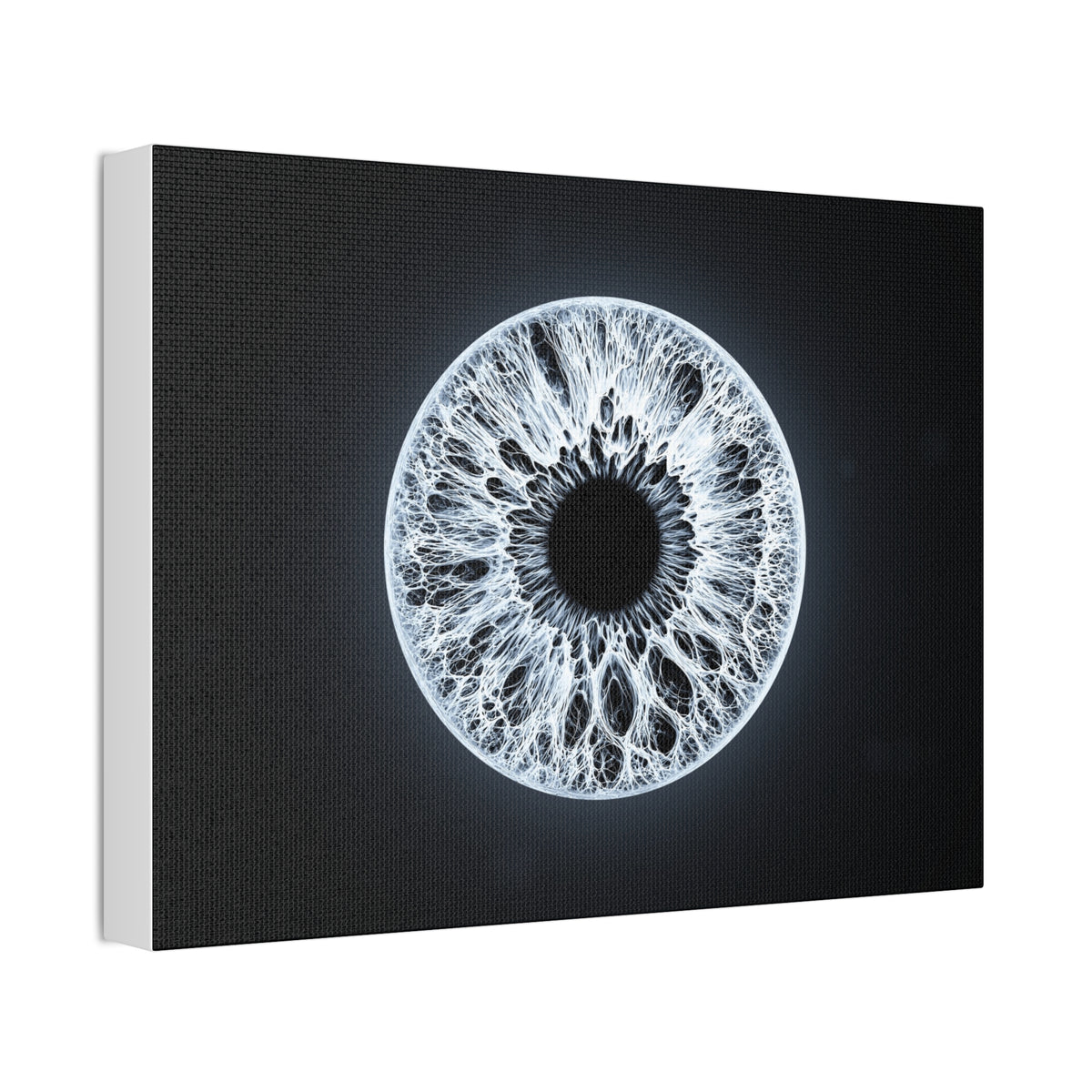 BLXNTT Iris – Lace Web Ice Silver Glossy Canvas