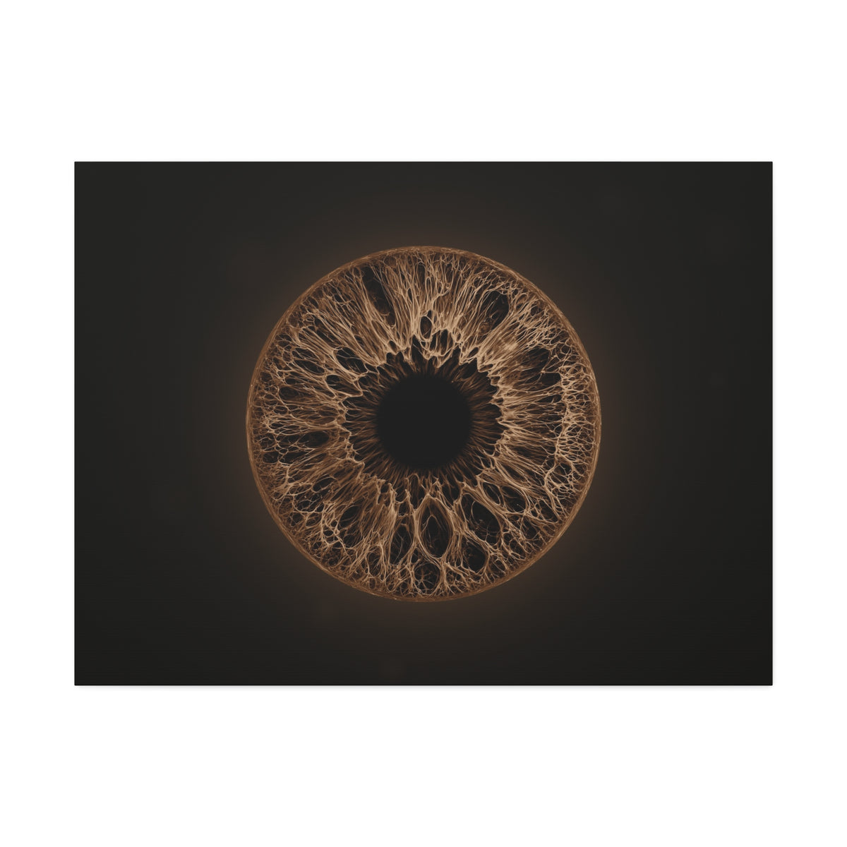 BLXNTT Iris – Lace Web Dark Brown Glossy Canvas