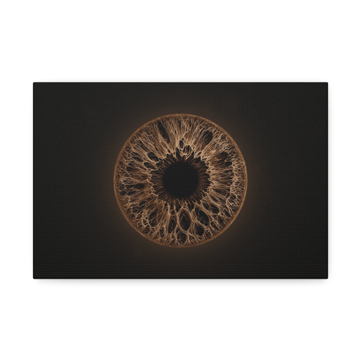 BLXNTT Iris – Lace Web Dark Brown Glossy Canvas