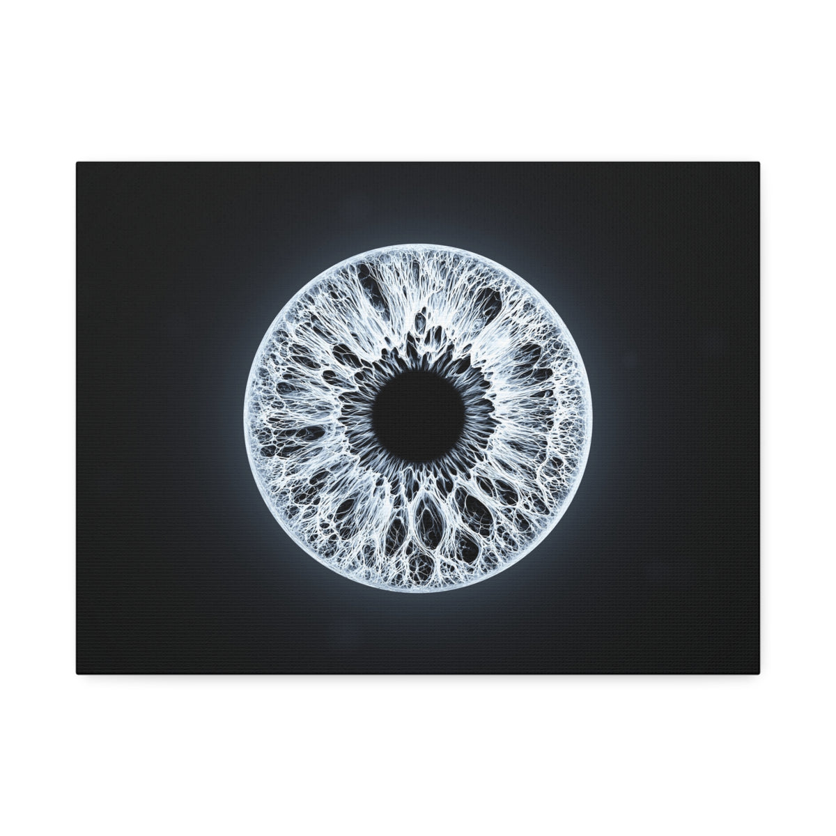 BLXNTT Iris – Lace Web Ice Silver Glossy Canvas