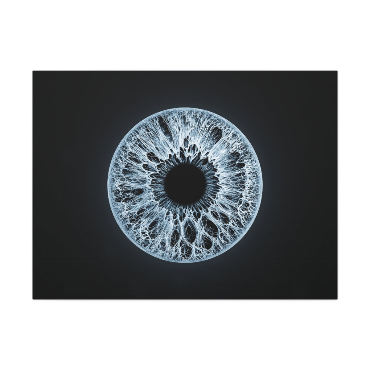 BLXNTT Iris – Lace Web Ice Blue Glossy Canvas
