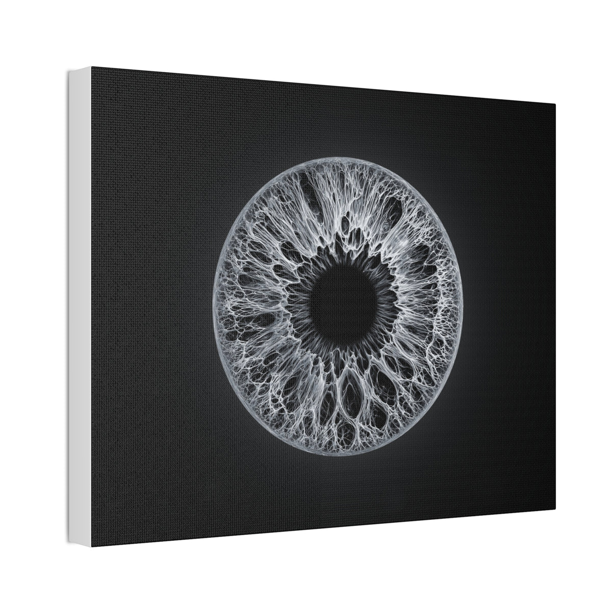 BLXNTT Iris – Lace Web Gray Glossy Canvas