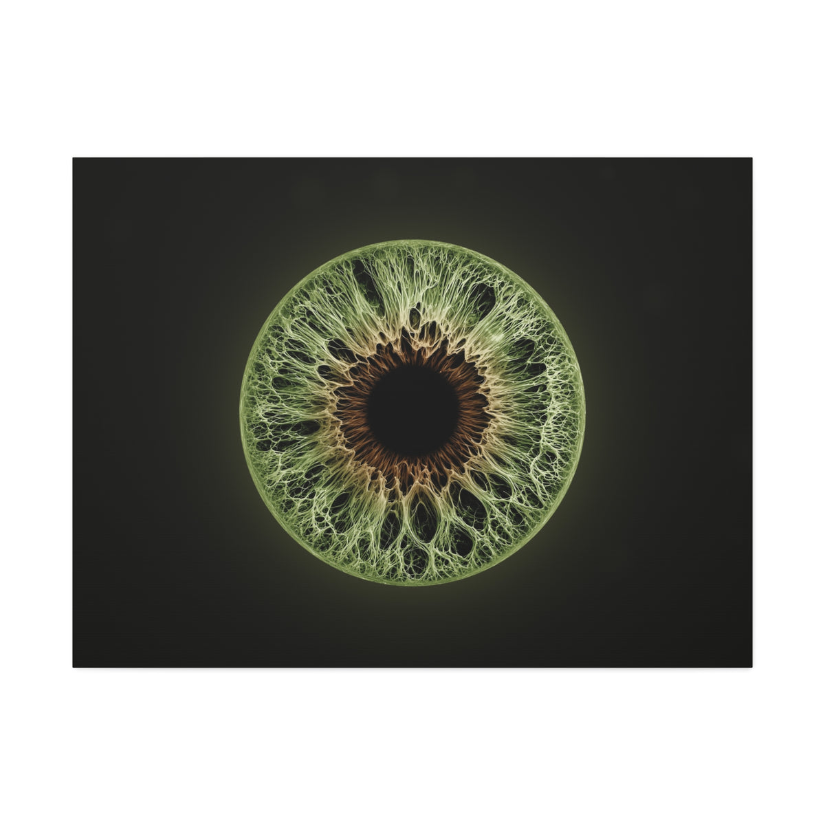BLXNTT Iris – Lace Web Hazel Glossy Canvas