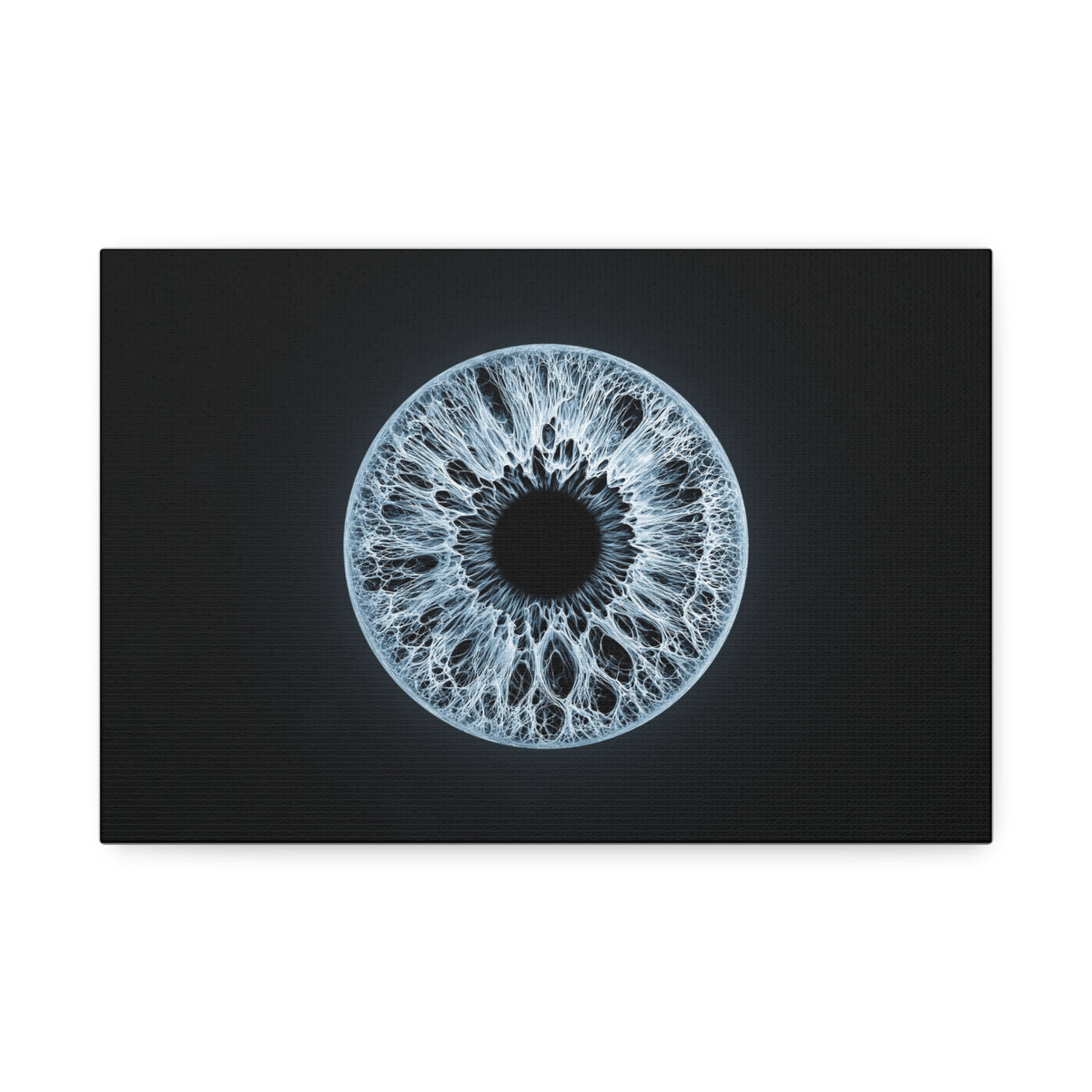 BLXNTT Iris – Lace Web Ice Blue Glossy Canvas