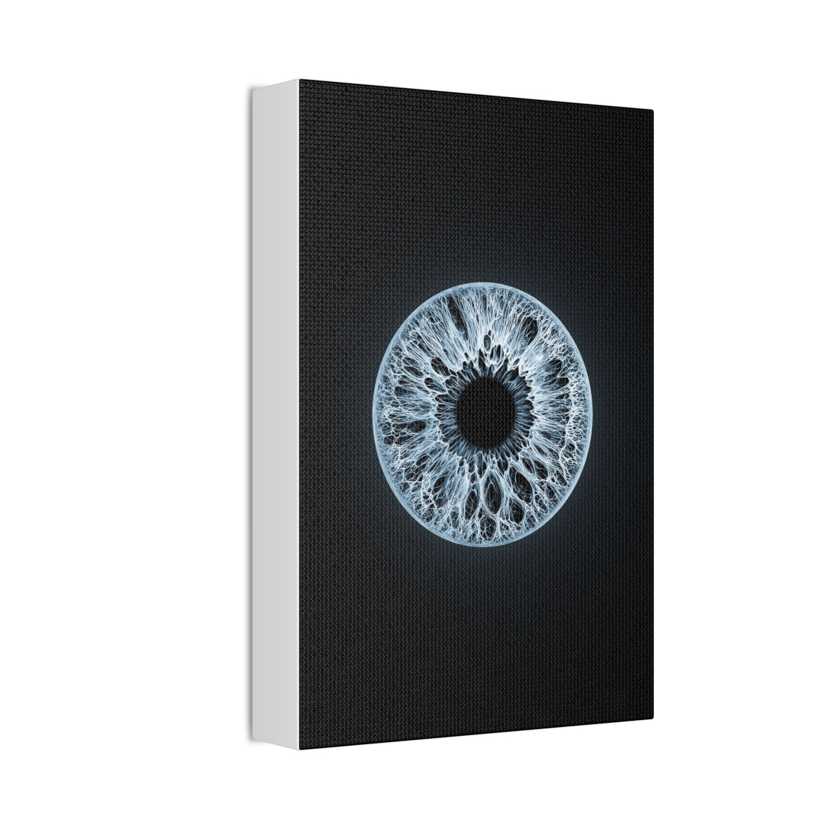 BLXNTT Iris – Lace Web Ice Blue Glossy Canvas