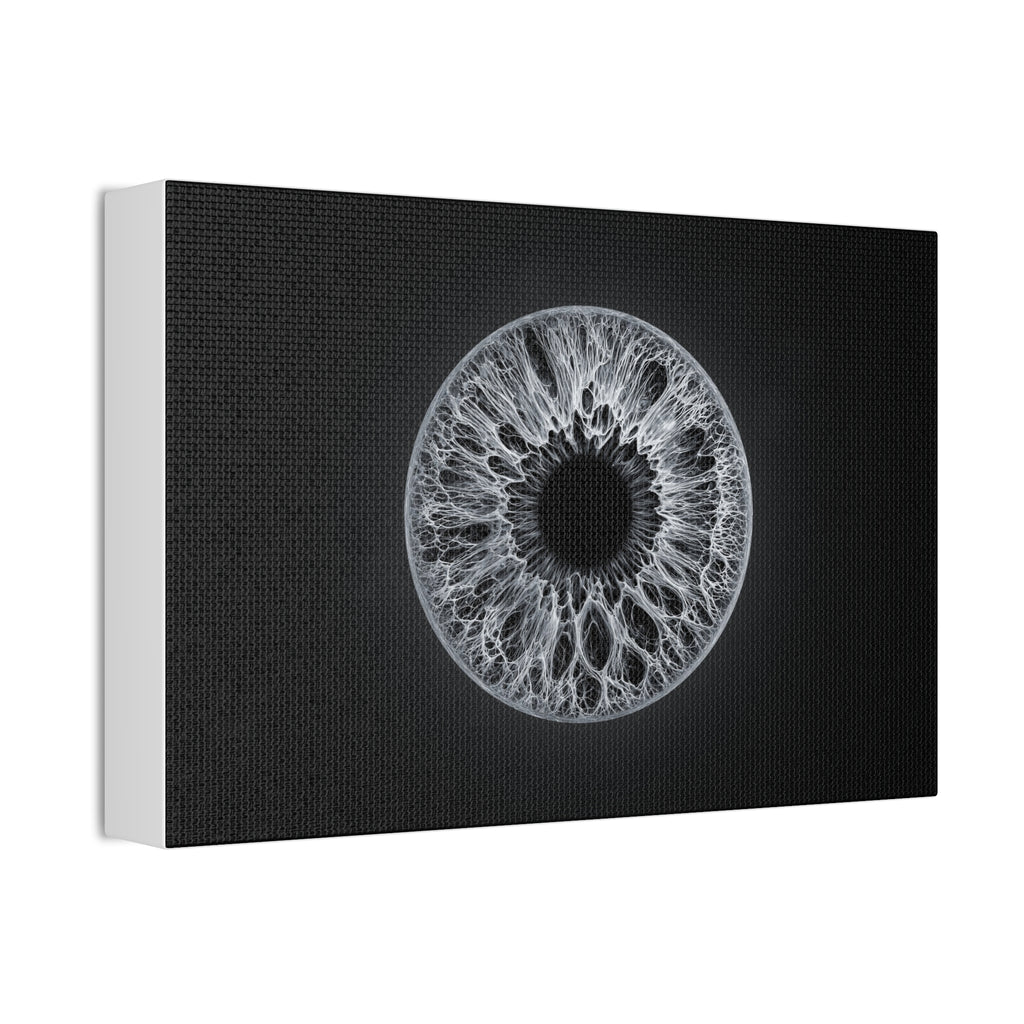 BLXNTT Iris – Lace Web Gray Glossy Canvas