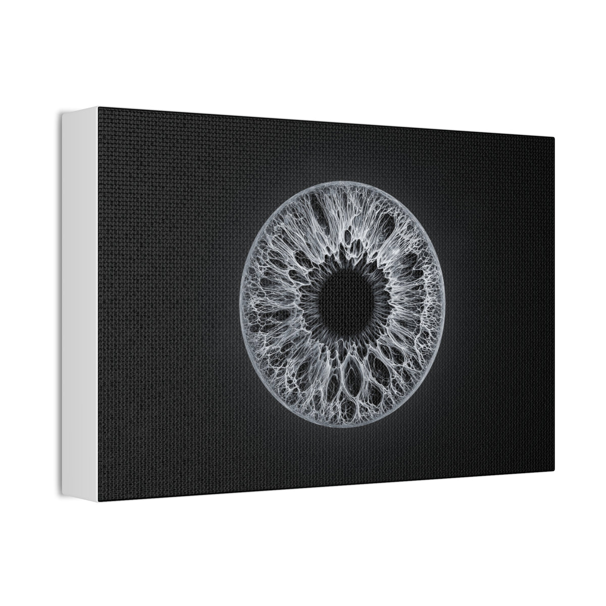 BLXNTT Iris – Lace Web Gray Glossy Canvas
