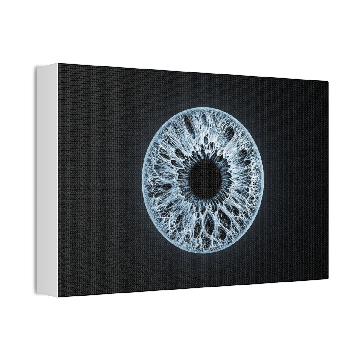 BLXNTT Iris – Lace Web Ice Blue Glossy Canvas
