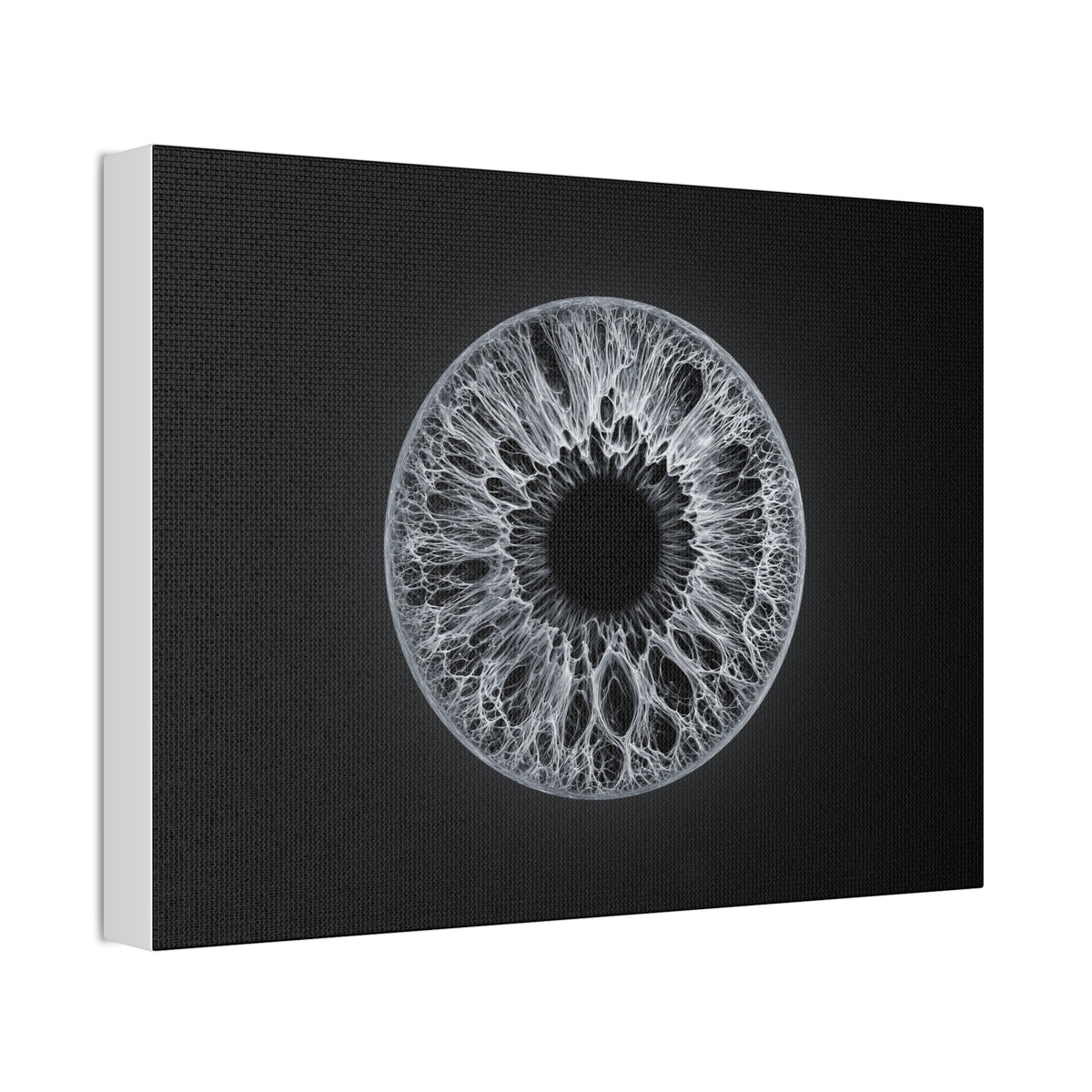 BLXNTT Iris – Lace Web Gray Glossy Canvas