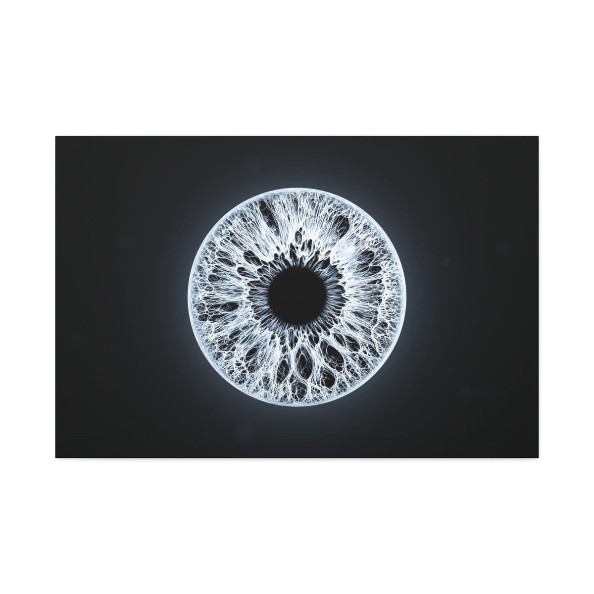 BLXNTT Iris – Lace Web Ice Silver Glossy Canvas
