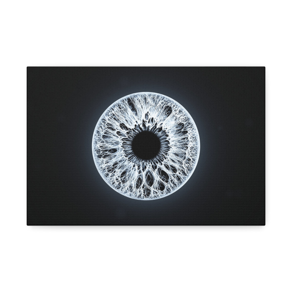 BLXNTT Iris – Lace Web Ice Silver Glossy Canvas