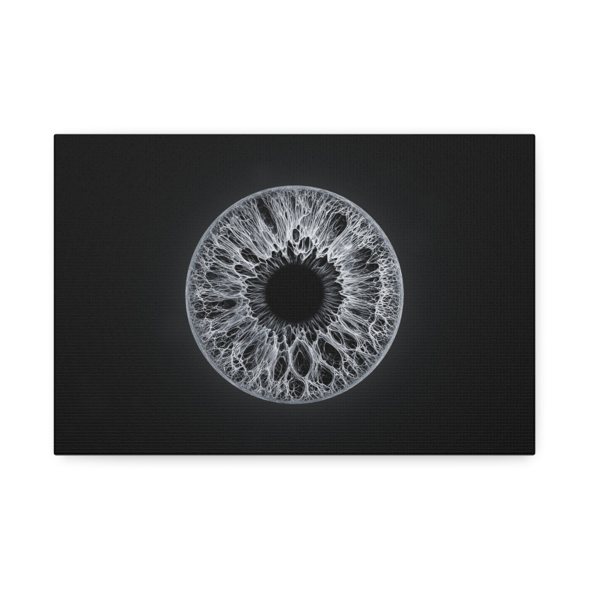 BLXNTT Iris – Lace Web Gray Glossy Canvas