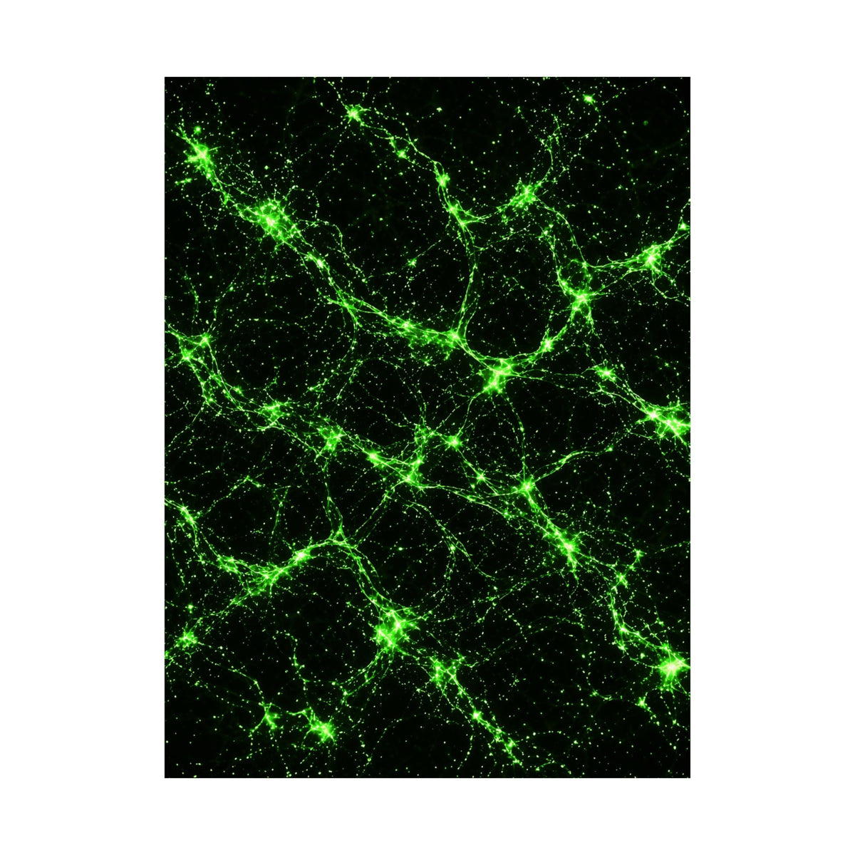 Neon Mycelium - Toxic Lime Poster