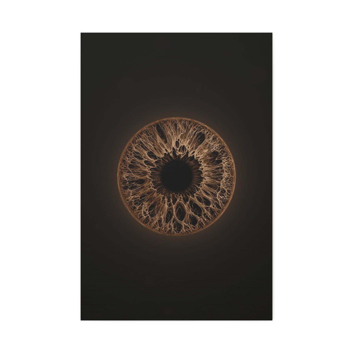 BLXNTT Iris – Lace Web Dark Brown Glossy Canvas