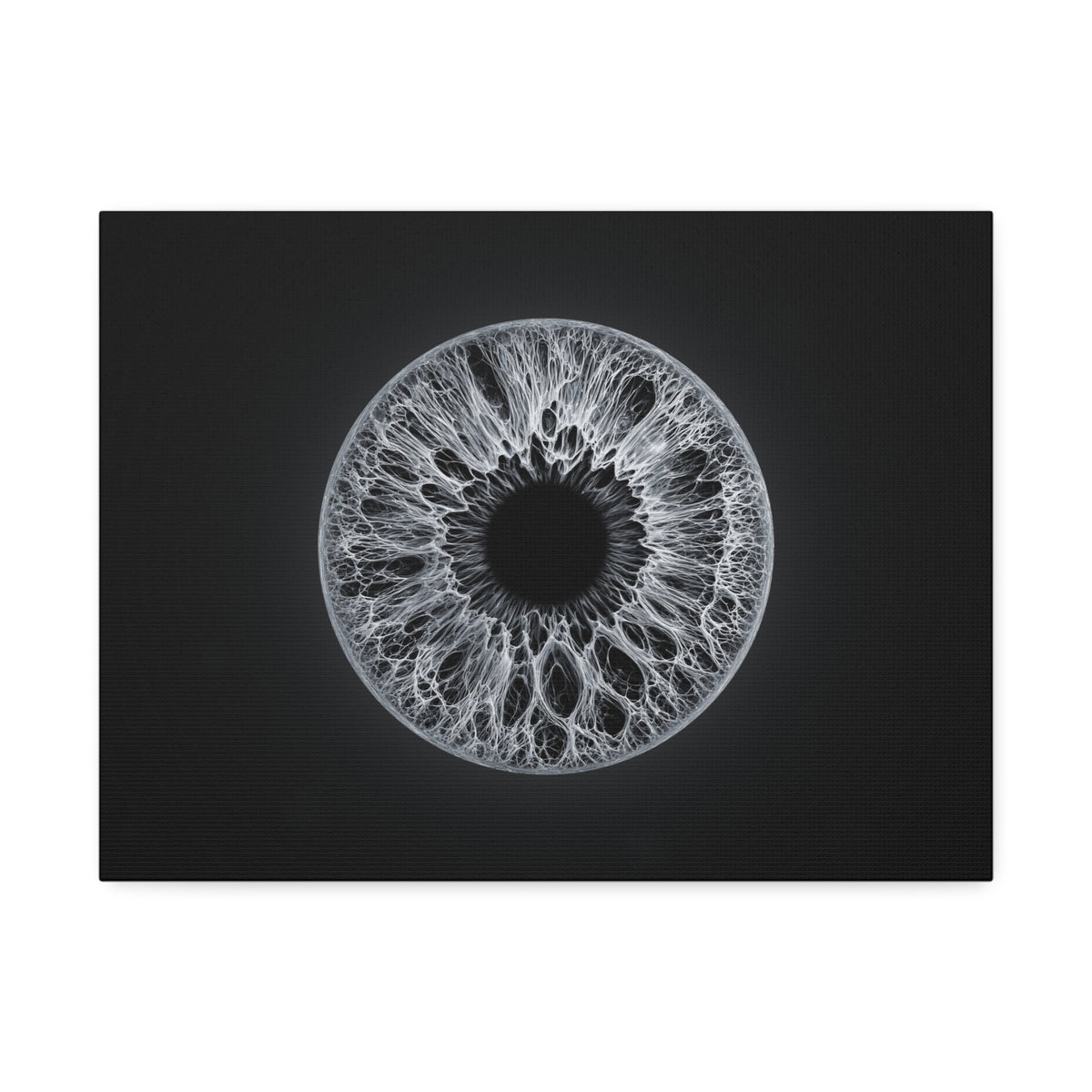 BLXNTT Iris – Lace Web Gray Glossy Canvas