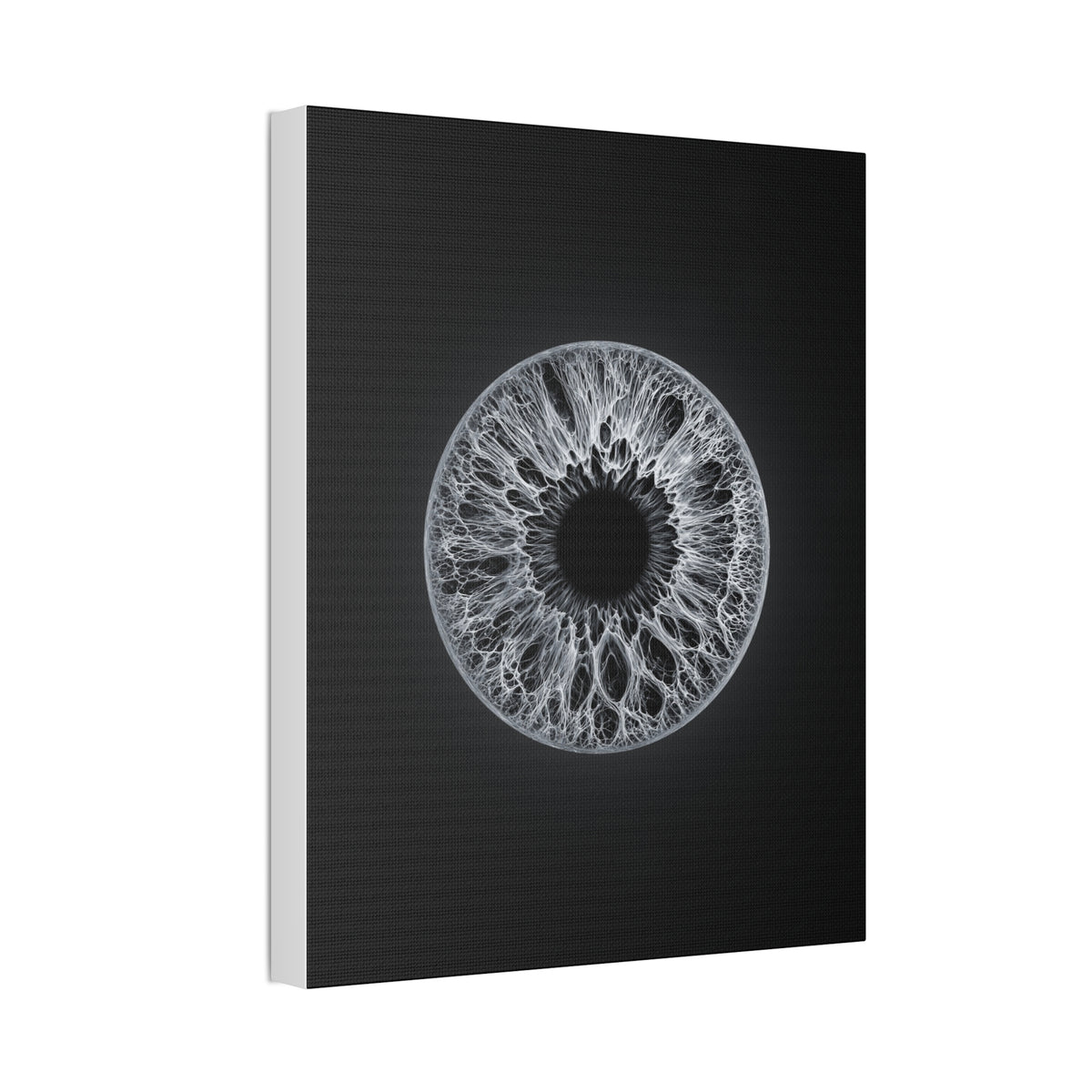 BLXNTT Iris – Lace Web Gray Glossy Canvas